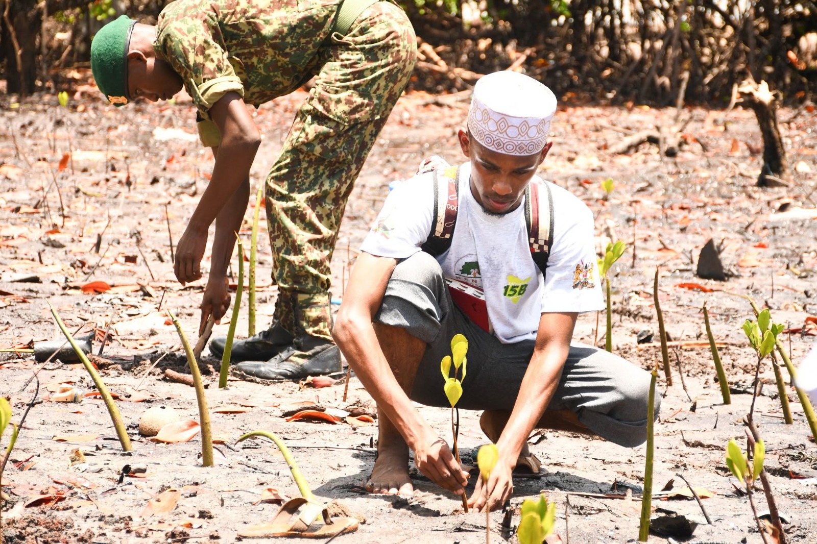 Climate Resilience
